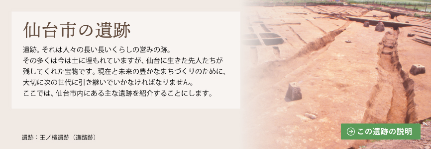 仙台市の遺跡　王ノ檀遺跡（道跡）